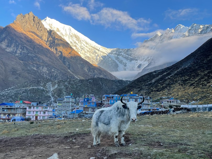 Langtang Valley Treks